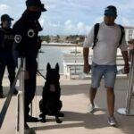 Abundan detenidos por portar sustancias prohibidas en Playa del Carmen