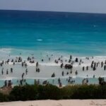 Atienden primer caso por golpe calor en Playa del Carmen