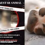 El gobierno de Solidaridad ofreció una recompensa a quien brinde información que ayude a dar con los responsables.