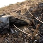 México registra las temperaturas más altas en América Latina