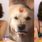 Tunden en redes a española por pedir que no menosprecien a su país creyendo que es como México