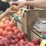 Inflación de alimentos en México es la sexta más baja entre países de la OCDE