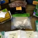 EU presiona a México para que dedique recursos suficientes contra el fentanilo: Todd Robinson