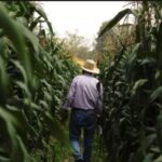 La agricultura y turismo en México resentirán más el cambio climático