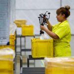 La OCDE da 3 recomendaciones a México para aprovechar el nearshoring