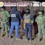 Defensa destruyó 327 plantíos de amapola y mariguana en cinco estados