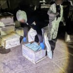 Tráfico de fentanilo a Estados Unidos se redujo 64% con llegada de Sheinbaum a la presidencia