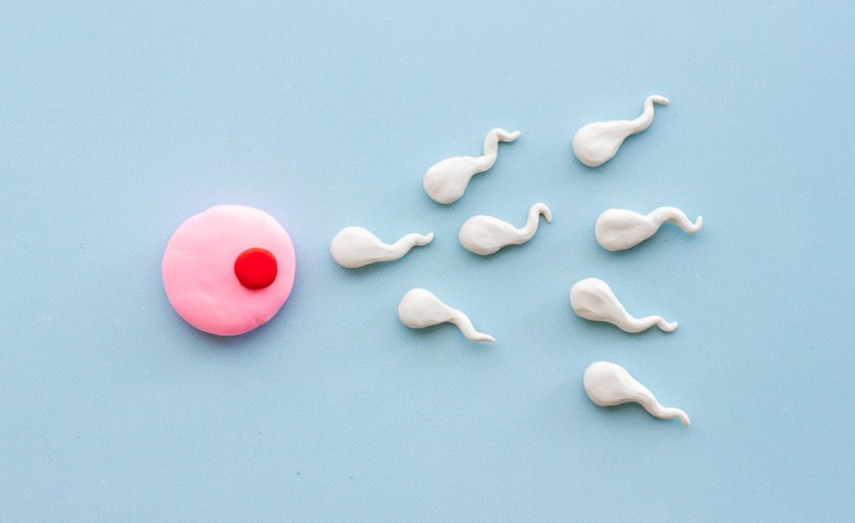 Los Ángeles acoge la primera carrera de espermatozoides de la historia