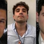 ‘Los Chapitos’, a un paso de ser testigos estrella de Estados Unidos contra ‘El Mayo’, Caro Quintero y cómplices