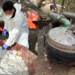 ICE informa el desmantelamiento de narcolaboratorios en Sinaloa