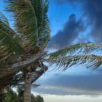 Bárbara y Cosme se acercan a México: podrían formar huracanes y un fenómeno inusual en el Pacífico