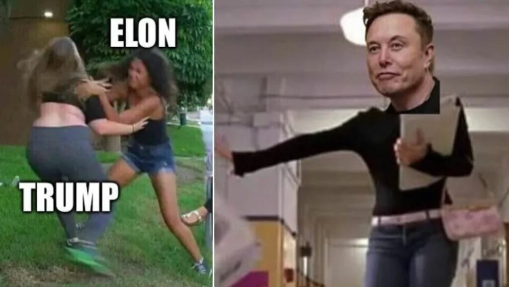 Como en Chicas Pesadas: redes estallan con memes por la pelea entre Elon Musk y Donald Trump