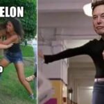 Como en Chicas Pesadas: redes estallan con memes por la pelea entre Elon Musk y Donald Trump