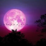 Después de 20 años habrá una ‘major lunar standstill’