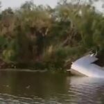 Nave de Musk explotó a 100 m de territorio mexicano y ensucia el Río Bravo y ejidos