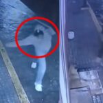 Redes sociales buscan a hombre que aventó una botella de cerveza a perrito acostado