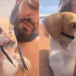 La historia de Tunico, el perrito que se volvió viral por sostener un nebulizador con sus patas