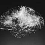 Los cerebros envejecieron más rápido en pandemia de COVID-19, incluso en las personas no infectadas