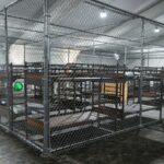 Sheinbaum confirma que hay 14 mexicanos en “Alligator Alcatraz”