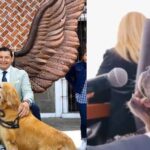 Perro del gobernador de Puebla tiene cargo oficial, programa de TV y «habla» en conferencias