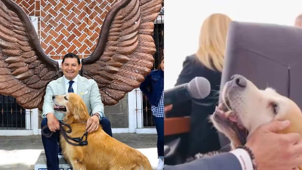 Perro del gobernador de Puebla tiene cargo oficial, programa de TV y «habla» en conferencias
