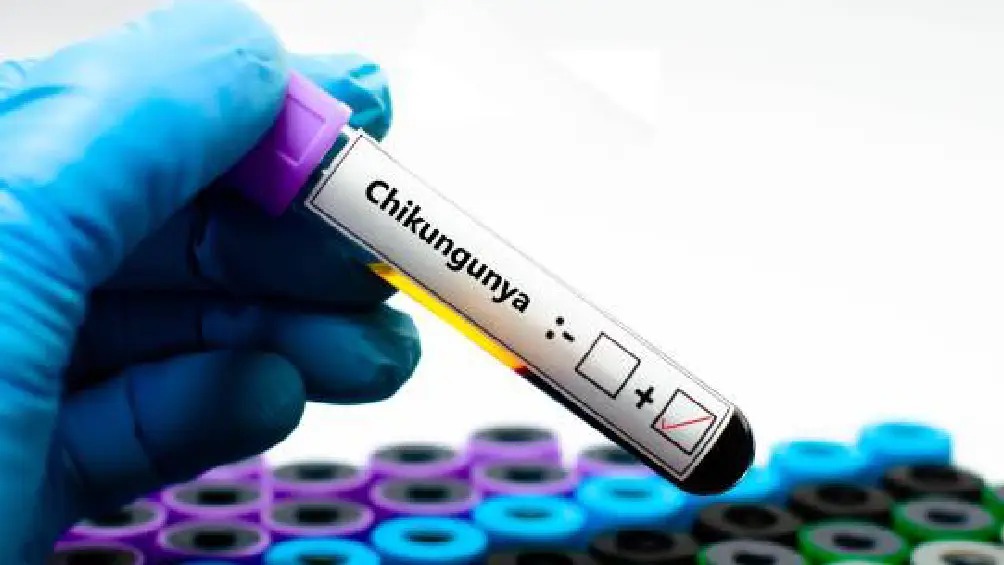 Reportan 7 mil casos de chikungunya en China