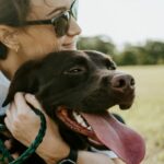 Aprueban custodia compartida de mascotas en caso de divorcio 