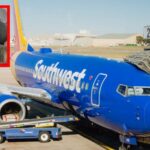 Aerolínea pedirá a pasajeros con sobrepeso que compren dos boletos en lugar de uno