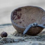 Miles de tortugas golfinas arriban antes de lo previsto a costas de Michoacán