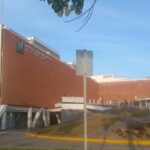 Reportan el deceso del segundo caso de rabia humana en México durante 2025