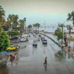 Golpe histórico al crimen organizado: Baja California asegura 20 toneladas de droga