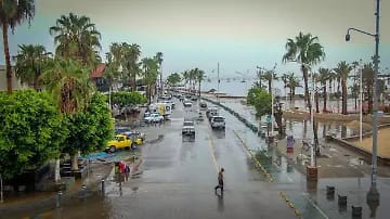 Golpe histórico al crimen organizado: Baja California asegura 20 toneladas de droga