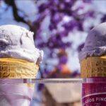 Sabor a patria: así evoluciona la industria del helado hecho en México