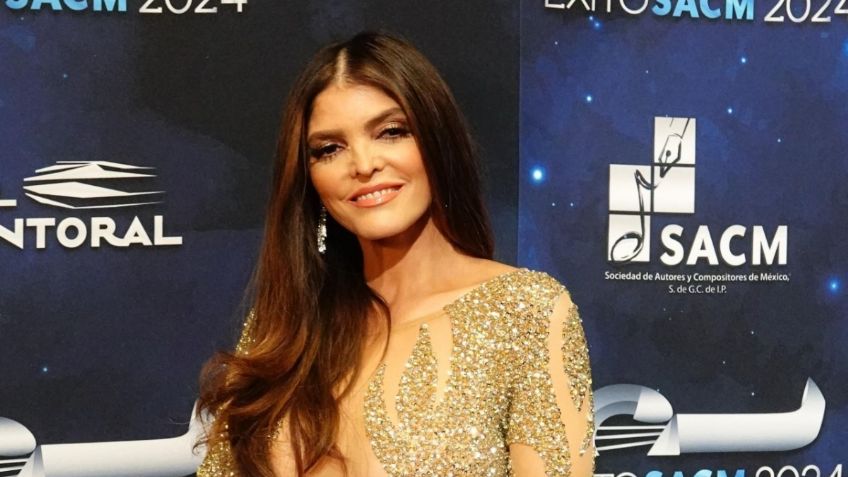 Ana Bárbara sufre un fuerte accidente y genera preocupación al aparecer en silla de ruedas