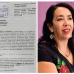 Movimiento Ciudadano presenta demanda de juicio político contra diputada Hilda Araceli Brown