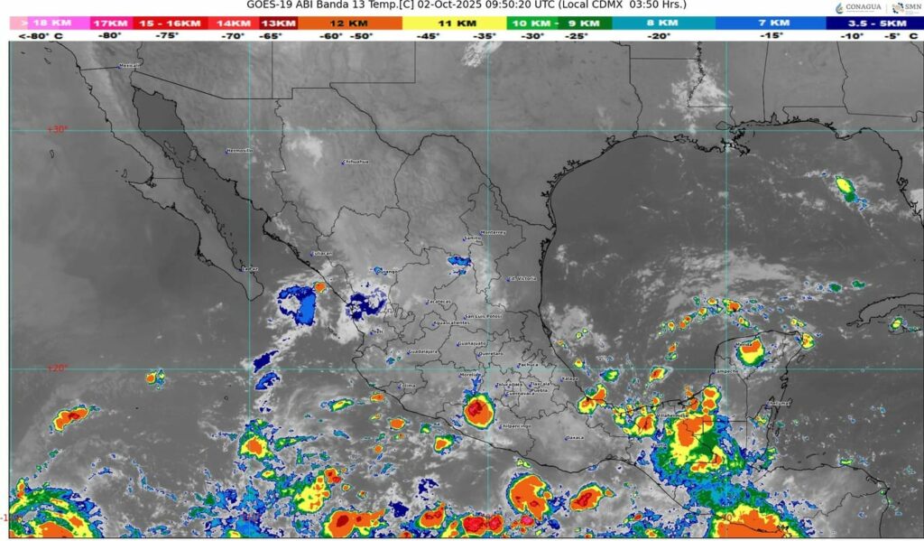 Borrador automático