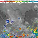 Borrador automático