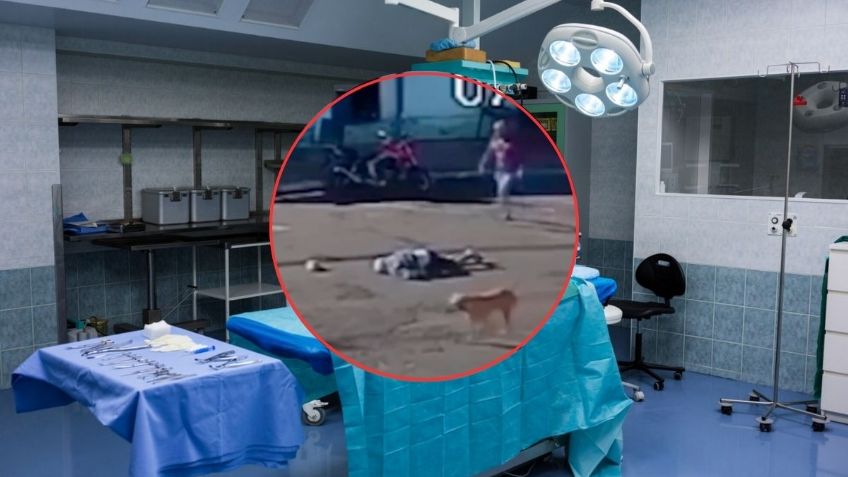 Abuelito que fue «atropellado» por un perro despierta del coma y queda cuadripléjico