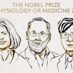 Dan Premio Nobel de Medicina 2025 a tres científicos por su trabajo sobre la tolerancia inmunológica periférica