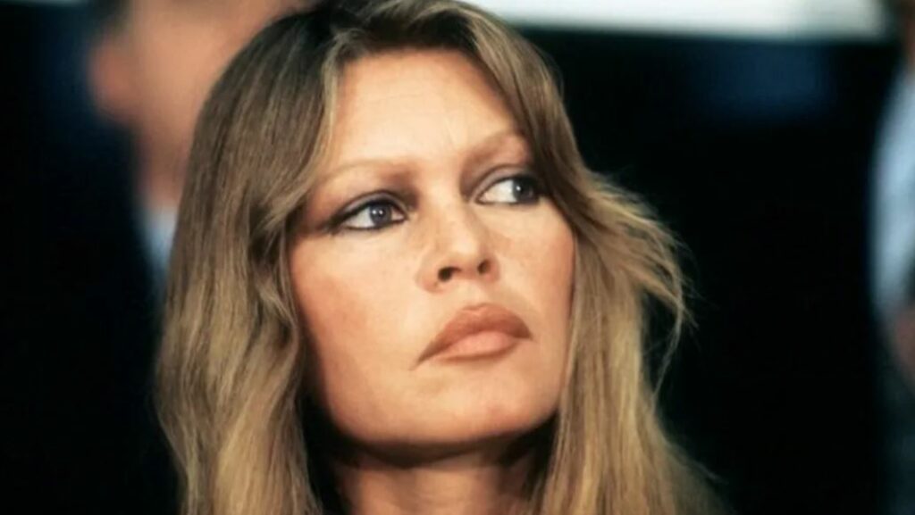 Brigitte Bardot sale del hospital tras una «intervención quirúrgica leve»; éste es su estado de salud