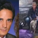 De la fama al abandono: actor de Televisa vive en la calle con sus cuatro gatos y una perrita