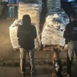 Aseguran más de 13 toneladas y 13 mil 400 litros de precursores químicos en carretera de Durango