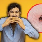 Hombre pierde la vida por comer una hamburguesa; una garrapata fue la responsable