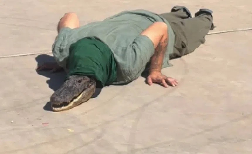 Fenómeno therian irrumpe en Sonora y sacude redes sociales