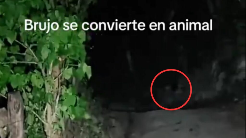 Tiktoker asegura haber tenido un encuentro con “brujo” en Izalco y se vuelve viral en redes