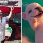Taquero mexicano se vuelve viral por imitar al perrito ‘Pibble’; usuarios quieren ir a comprarle