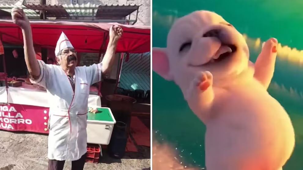 Taquero mexicano se vuelve viral por imitar al perrito ‘Pibble’; usuarios quieren ir a comprarle