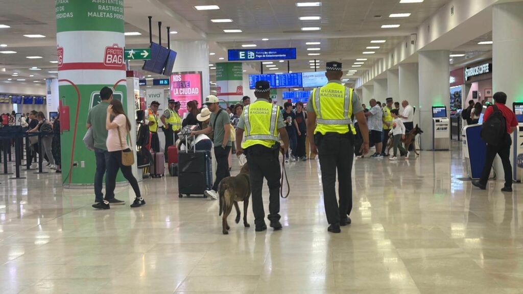 Binomio canino detecta más de 12 kilos de aparente cocaína en el Aeropuerto de Cancún