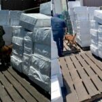 Aseguran cargamento con más de 8.4 millones de cigarros falsos en la aduana de Manzanillo