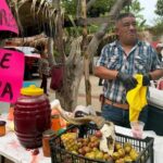 Pitahayeros: el oficio que mantiene viva una tradición en Baja California Sur